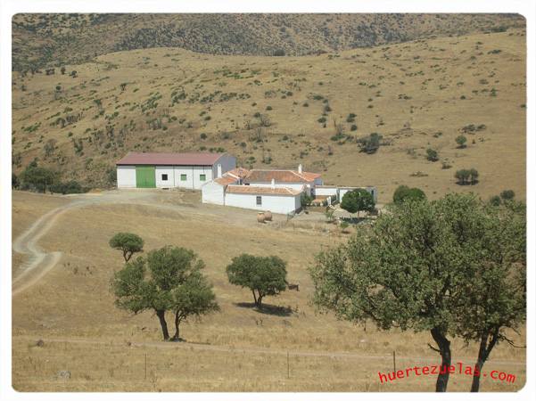 Cortijo de Eleuterio 2